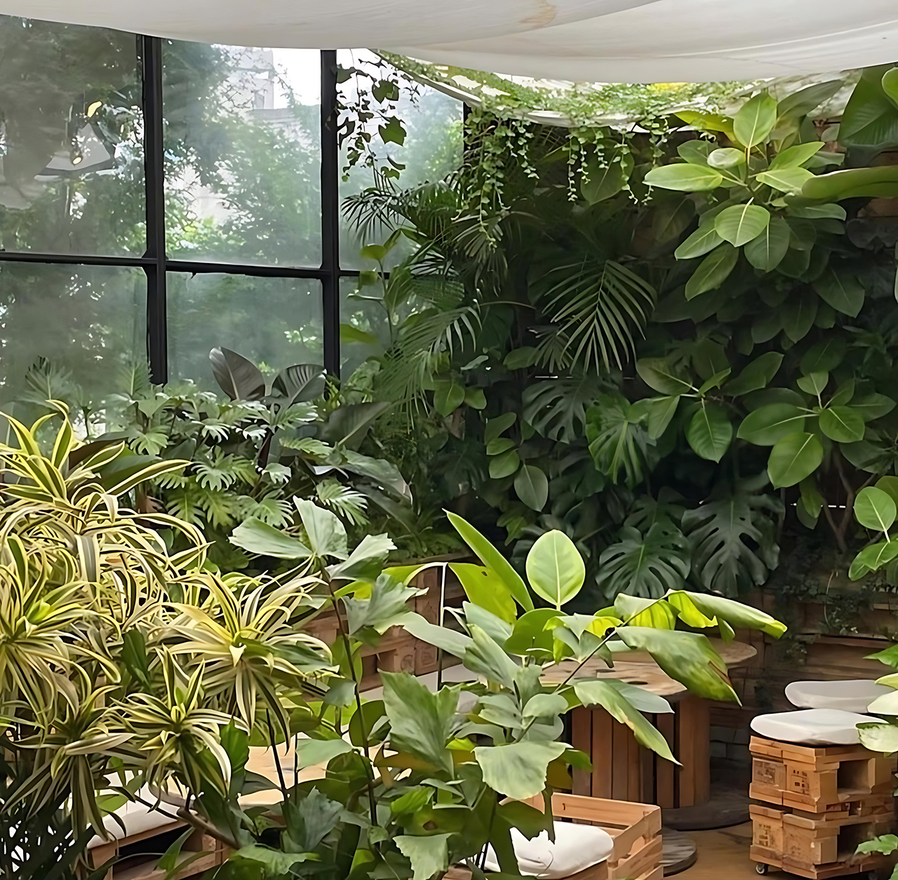 urban plant Interior view2